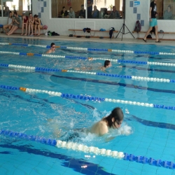 2015-mistrzostwa-gniezna-szkol-podstawowych-i-gimnazjow-w-plywaniu