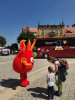 KRWIODAWCY NIE ZAWIEDLI - ZEBRANO PONAD 14 LITRÓW KRWI !