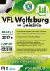 VFL WOLFSBURG W GNIEŹNIE !