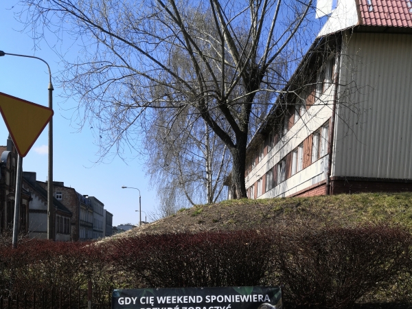 W minioną niedzielę w naszej hali w Gnieźnie odbyły się Targi Terrarystyczne Exotica­rium. 